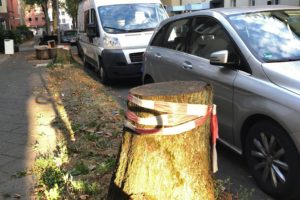 Baumstümpfe (Stubben) im Ehrenfeld - hier: Hugo-Schultz-Straße