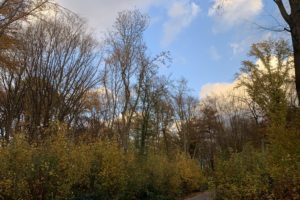 Rechener Park im Bochumer Ehrenfeld #boEhrenfeld