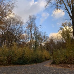 Rechener Park im Bochumer Ehrenfeld #boEhrenfeld