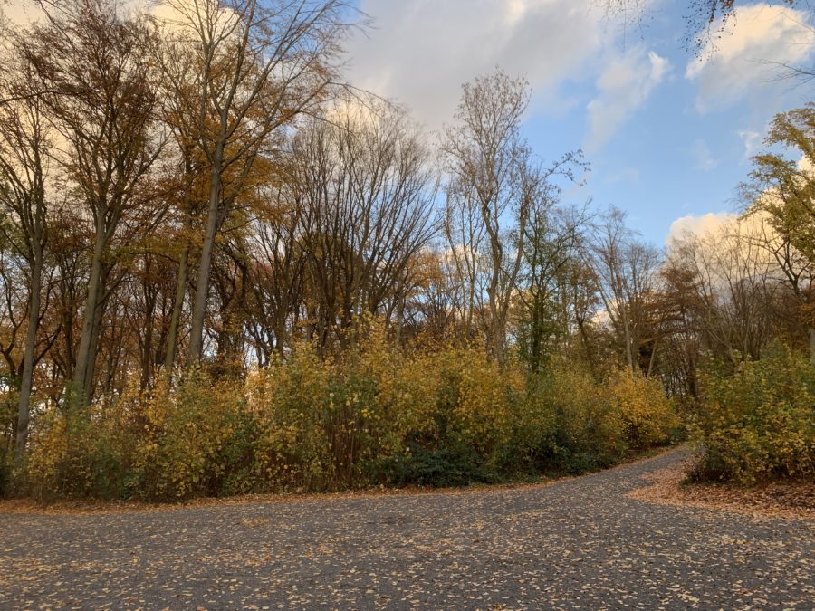 Rechener Park im Bochumer Ehrenfeld #boEhrenfeld