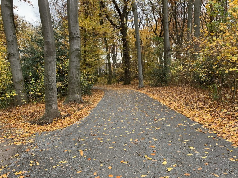 Weg im Rechener Park im Bochumer Ehrenfeld #boEhrenfeld