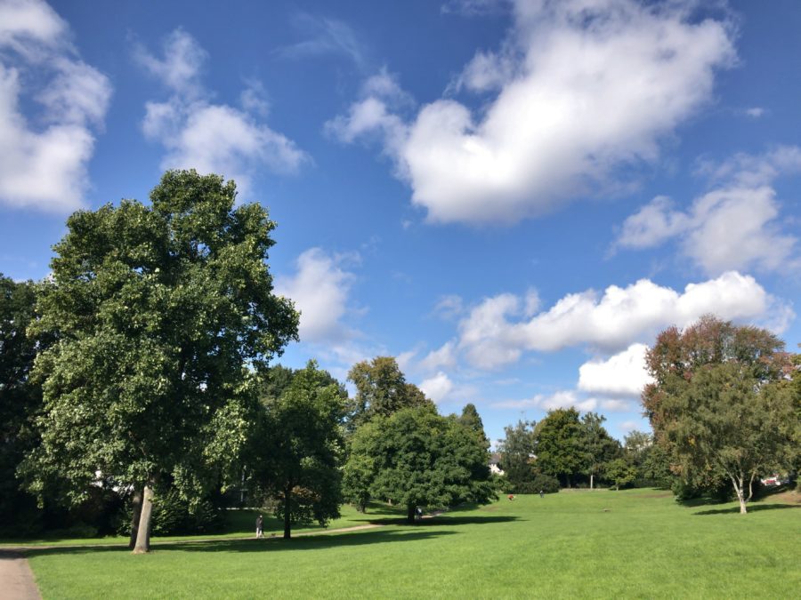 Bild aus dem Bochumer Wiesental