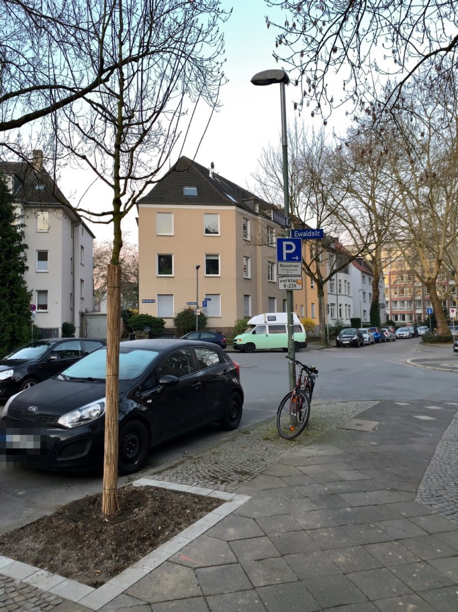 Neuer Baum in der Weiherstraße (im Bochumer Ehrenfeld)