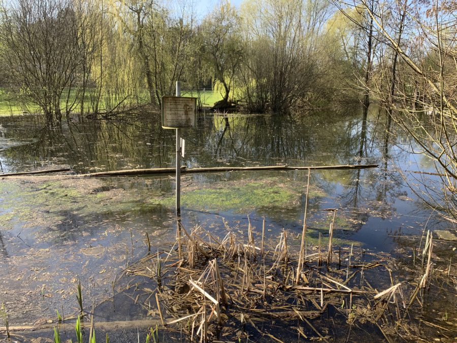 Im Wiesental: Im Teich sollen nicht nochmal die Fische bei großer Hitze verenden
