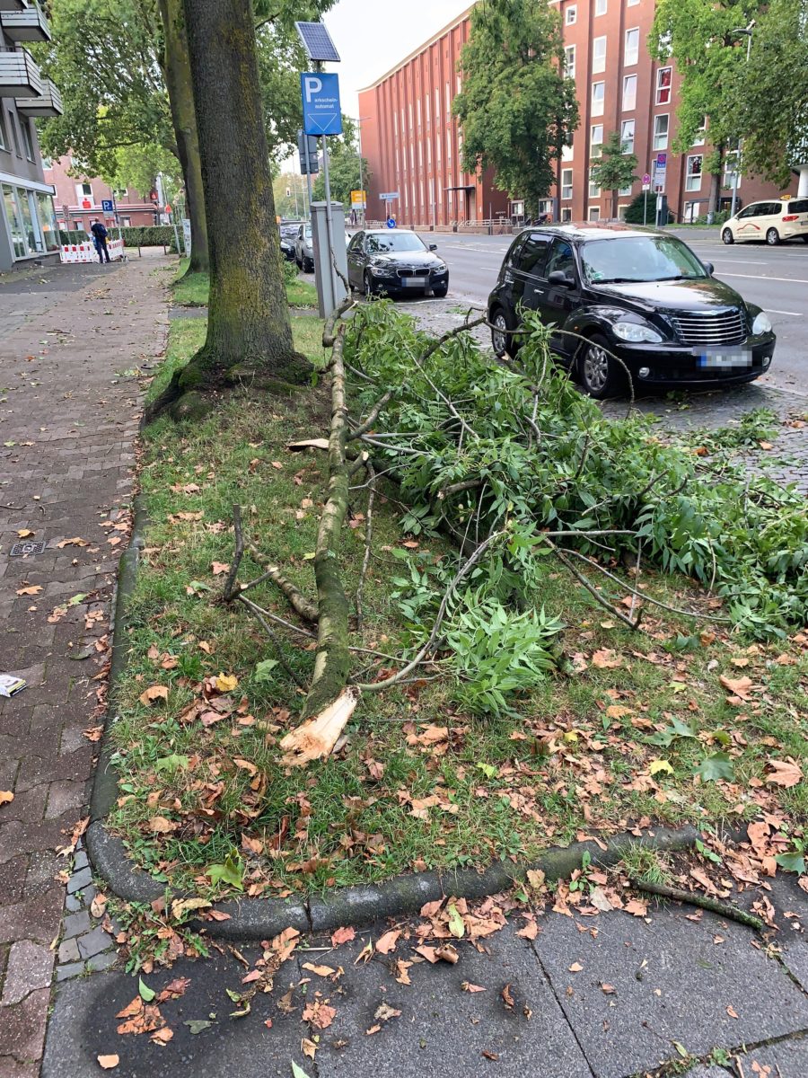 Sturm im Bochumer Ehrenfeld: abgefallene Äste auf der Königsallee
