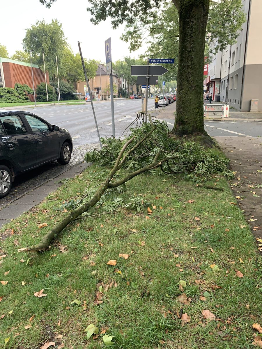 Sturm im Bochumer Ehrenfeld: abgefallene Äste auf der Königsallee / Wilhelm-Stumpf-Str.