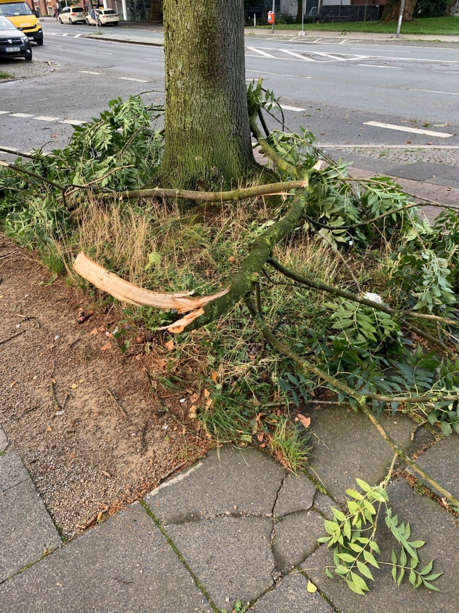 Sturm im Bochumer Ehrenfeld: abgefallene Äste auf der Königsallee