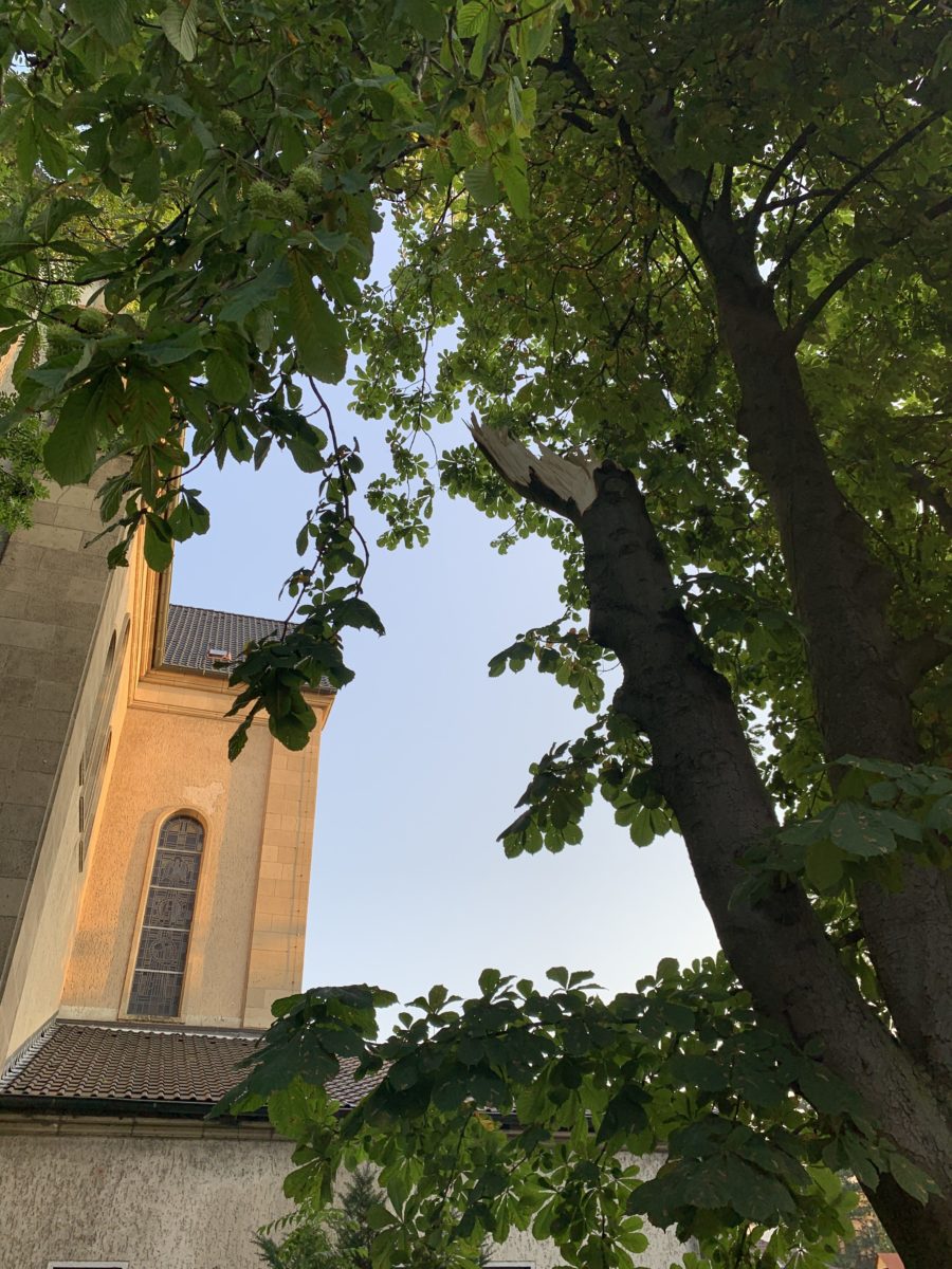 Sturm im Bochumer Ehrenfeld: abgeknickter Baum in der Hubertusstraße (an der Kirche St. Meinolphus-Mauritius)