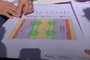 Planung Königsallee 1. Bauabschnitt (zwischen Arnikastraße und Wasserstraße)