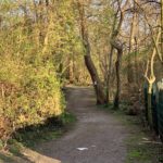 Weg im Friederika-Wäldchen