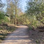 Weg im Friederika-Wäldchen