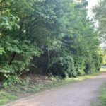 Grünzug parallel zur Hattinger Straße