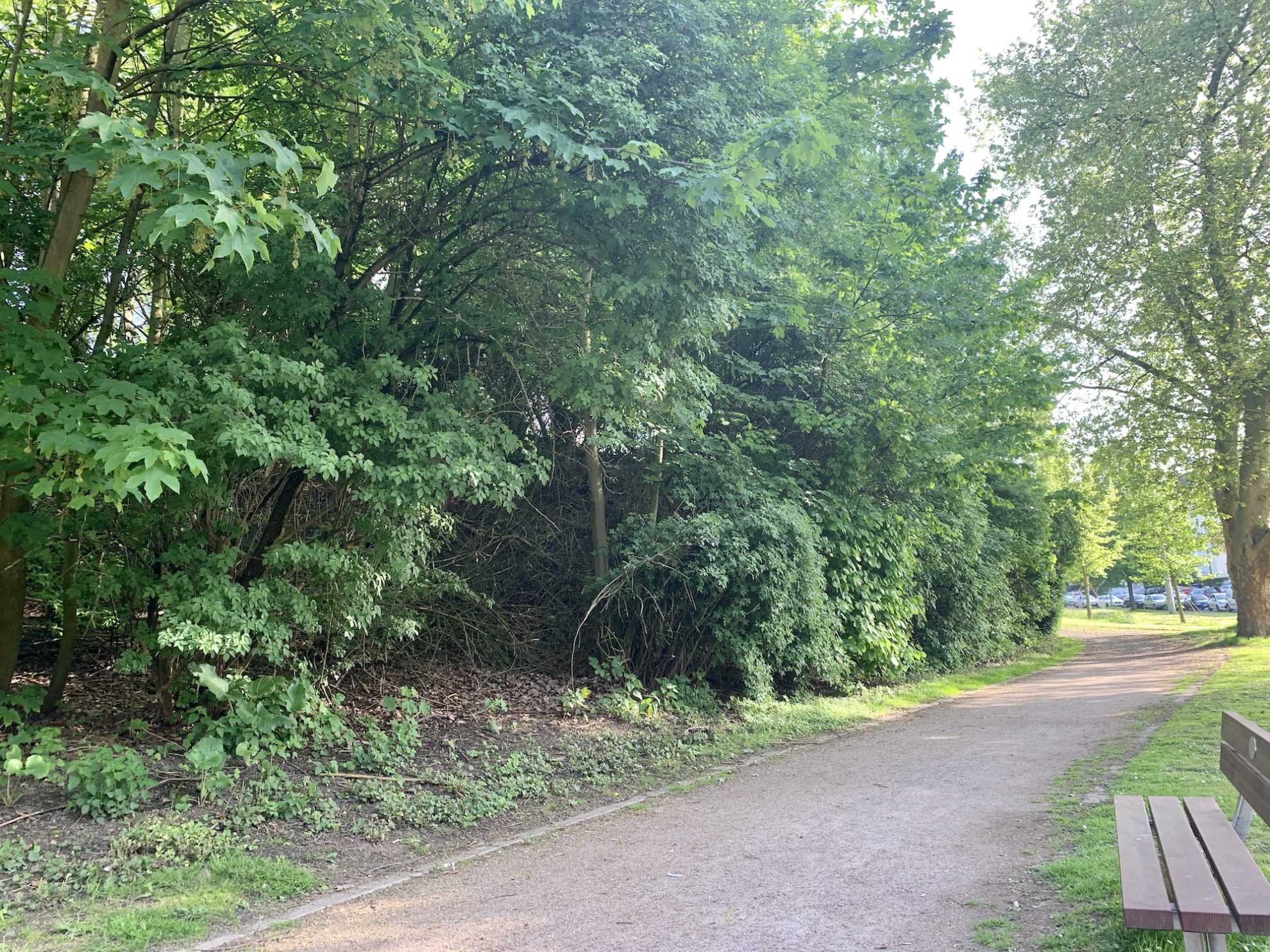 Grünzug parallel zur Hattinger Straße