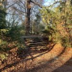 Treppe im Rechener Park