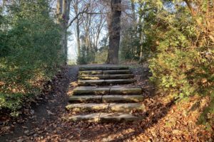 Treppe im Rechener Park