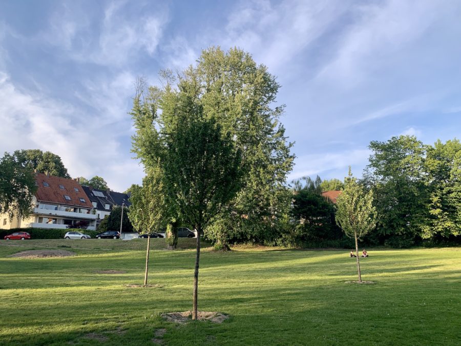 Wiesental (mit Blick Richtung Norden)