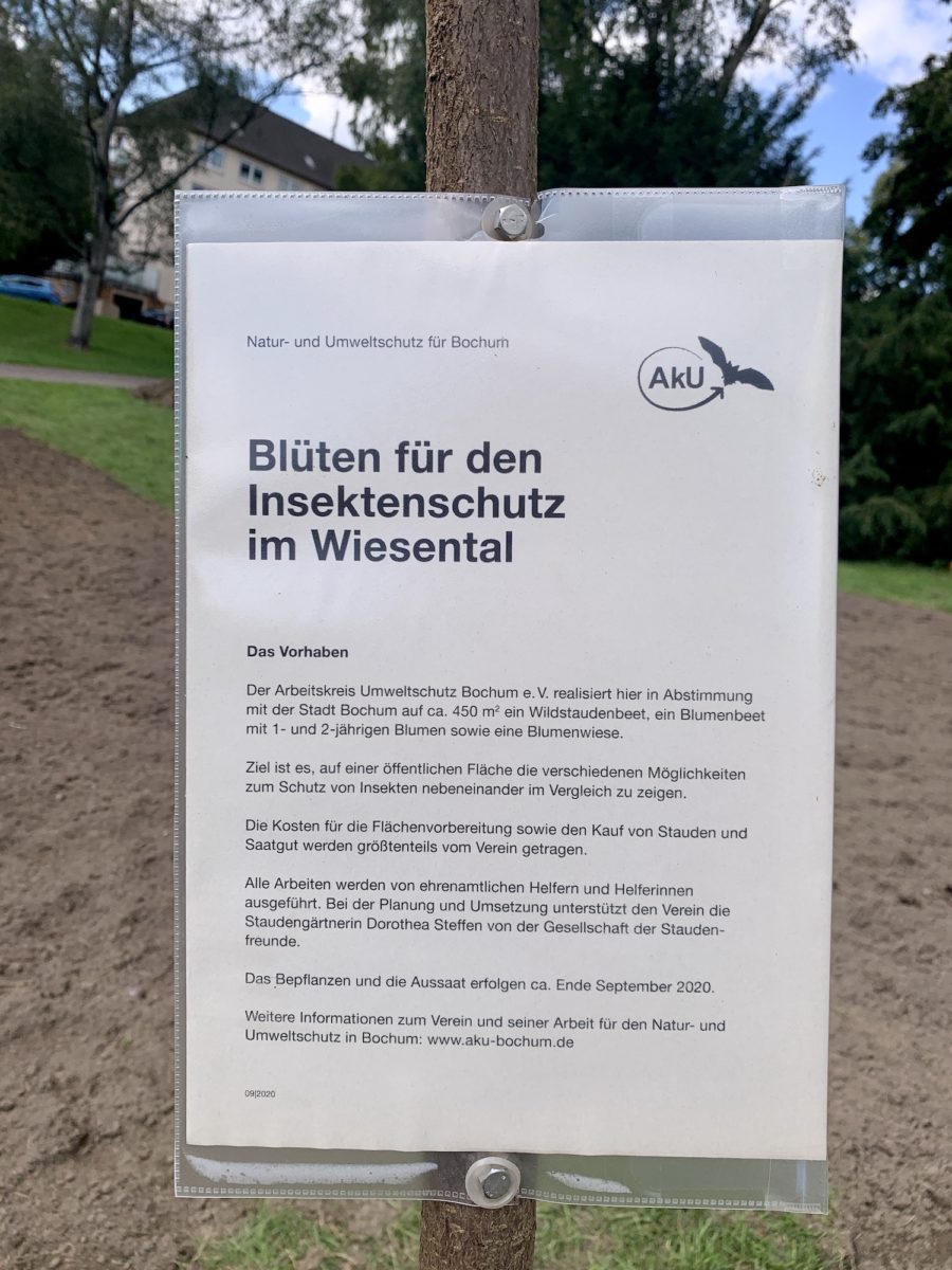 Blüten für den Insektenschutz im Wiesental: Informationen zum Vorhaben