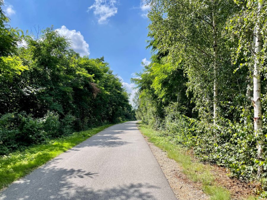 Hinter der Erzbahnschwinge auf der Erzbahntrasse
