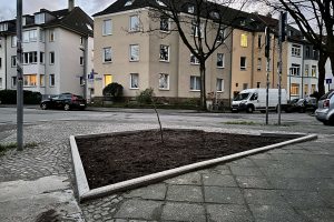 Neue Baumscheibe (mit Stock) an der Ecke Ewaldstraße, Saladin-Schmitt-Straße und Weiherstraße