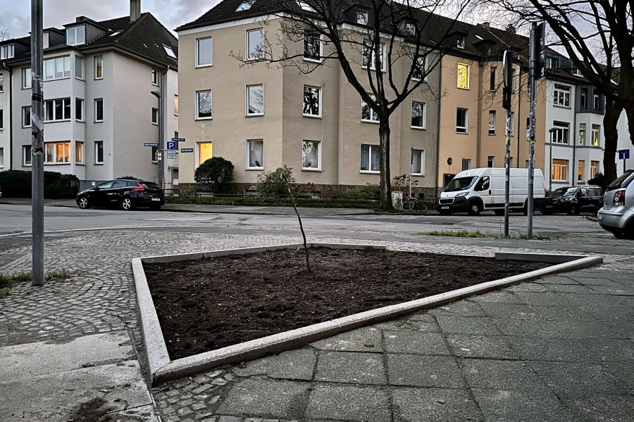 Neue Baumscheibe (mit Stock) an der Ecke Ewaldstraße, Saladin-Schmitt-Straße und Weiherstraße
