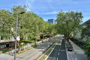Blick auf die Königsallee in Richtung Süden (Ende Mai 2023)