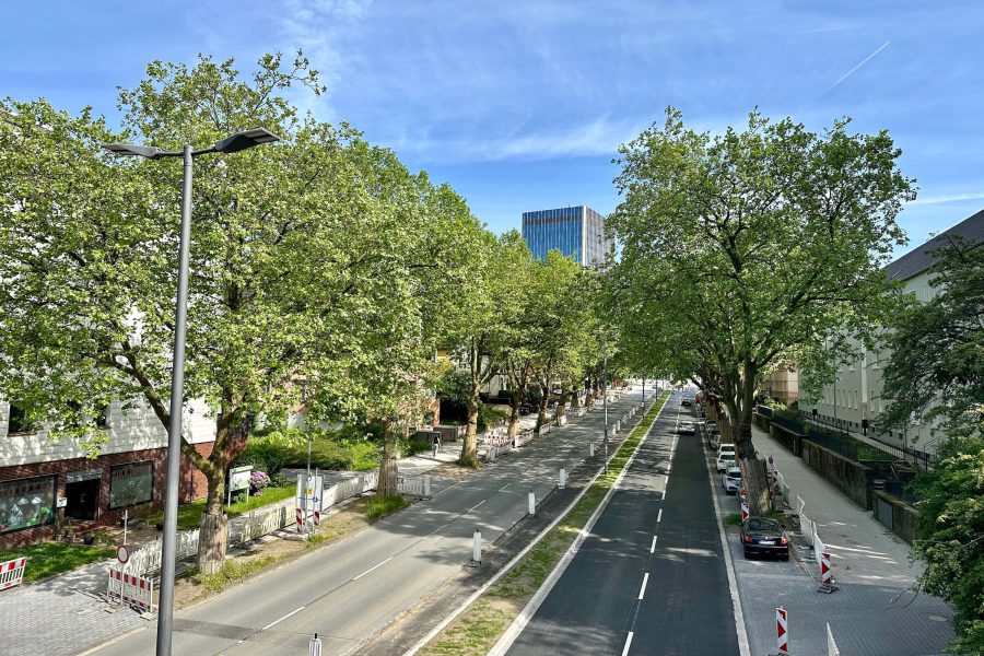 Blick auf die Königsallee in Richtung Süden (Ende Mai 2023)