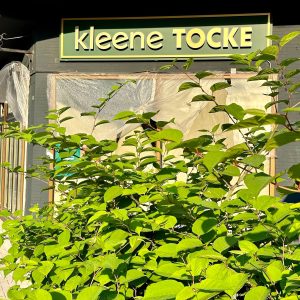 kleene TOCKE (an der Hattinger Straße im Ehrenfeld)