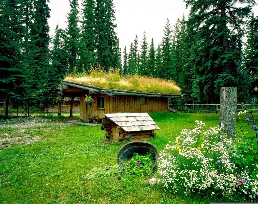 (Symbolbild) begrünte Hütte